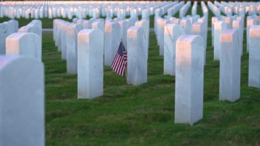 Askeri mezar taşları. Beyaz mezar taşları ve yeşil çimlerde Amerikan bayrakları olan Sarasota Ulusal Mezarlığı. Anma Günü konsepti
