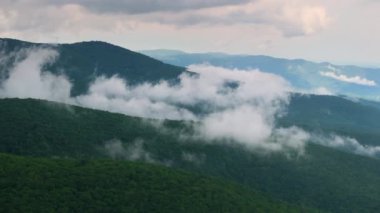 Kuzey Carolina Appalachian dağlarının güzel doğası, ABD. Yaz mevsiminde Büyük Smokey Dağları.