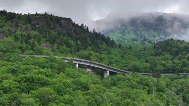 Blue Ridge Parkway yolu gezisi. Linn Cove Viaduct kullanıyor. Kuzey Carolina 'daki Appalachian dağ tepelerinde yaz ormanlarında araba keşfi. Güzel doğanın yaz manzarası.