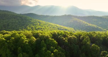 Appalachian dağlarında akşam manzarası. Yaz mevsiminde orman doğası. Tennessee 'deki renkli orman.