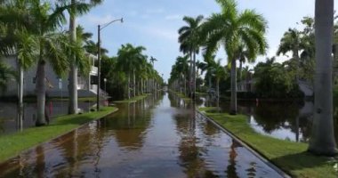 Milton Kasırgası, Florida caddesini taşırdı. Sürüş tehlikesi. Kasırga sonrası doğal afet
