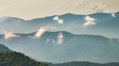 Tennessee Appalachian dağlarının doğa manzarası. Yaz mevsiminde yeşil gölgelikli dağ ormanları.