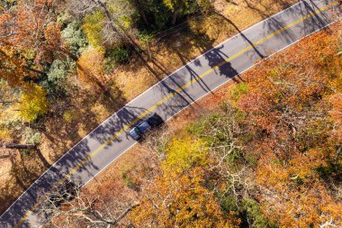 Blue Ridge Parkway yolu gezisi. Kuzey Carolina 'daki Appalachian dağ tepelerinde sonbahar ormanlarında araba keşfi yapmak. Güzel doğanın sonbahar manzarası.