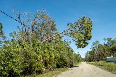 Kasırga rüzgarı, Florida 'daki elektrik hattı ve iletişim kablosunu bozdu. Doğal afetten sonra şebekeye hasar.