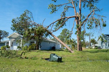 Florida 'daki kasırgadan sonra ev çatısında ağaç hasarı. Güçlü tropikal fırtına rüzgarları sonrası enkazdan aşağı düştü. Doğal afetin sonuçları..