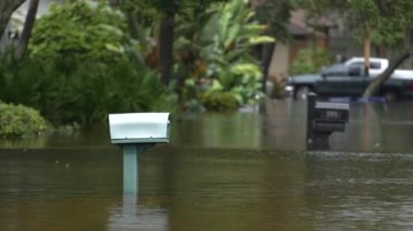 Debby Kasırgası 'ndan sonra Florida kırsalındaki posta kutusunu su bastı