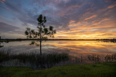 Amazing Florida nature. Sunset over lake water in southern tropical wetlands. clipart