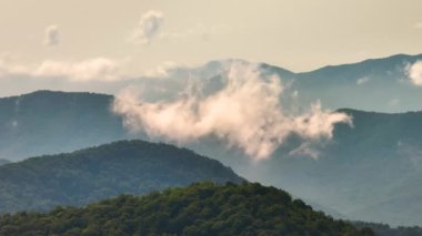 Kuzey Carolina 'daki Appalachian dağ tepelerinde yaz ormanı. Yağmurlu ve nemli havalarda güzel doğanın yaz manzarası.