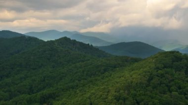 Appalachian dağları. Yazın yağmur mevsiminde orman doğası. Tennessee 'deki renkli orman.