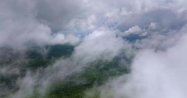 Yaz yağmuru mevsiminde Great Smokey Dağları. Kuzey Carolina Appalachians, ABD 'deki dağlık tepeler.