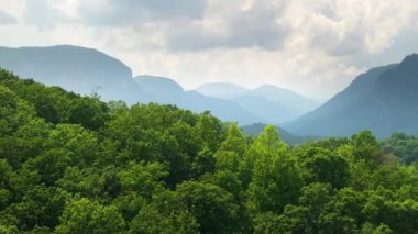 Yaz mevsiminde Great Smokey Dağları. Kuzey Carolina Appalachians, ABD 'deki dağlık tepeler.