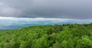 Kuzey Carolina Appalachian dağlarının güzel doğası, ABD. Yaz mevsiminde Büyük Smokey Dağları.