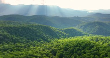 Appalachian dağlarında akşam manzarası. Yaz mevsiminde orman doğası. Tennessee 'deki renkli orman.