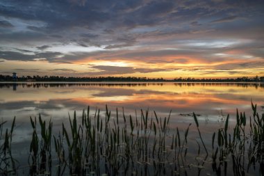 Florida sulak arazisinin akşam manzarası. Güney tropikal bataklıkta gün batımında göl suyu.