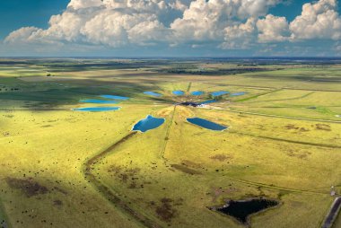Organik süt ürünleri üretimi. Süt inekleri endüstriyel tarım otlaklarında otluyor. Çiftlik arazilerinde sığır beslemek.
