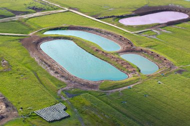 Çiftlik sığırları için su birikintileri. Çayır tarlalarında otlayan inekler için su kaynağı. Florida 'da yeşil sanayi çayırları.