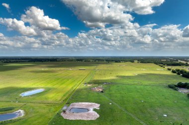 Yeşil çiftlik otlaklarında otlayan inekler için su deposu. Serbest çiftlikte içme göletleri. Çiftlik arazilerinde sığır beslemek.