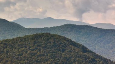 Smokey Dağları yaz ormanları. Kuzey Carolina 'daki Appalachian dağlarında yaz mevsiminde yağmur mevsiminde yeşil orman ağaçları olur. ABD doğasının güzelliği.