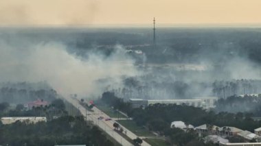 Florida orman ormanlarında yangın söndüren itfaiye araçlarının hava görüntüsü. İtfaiyeciler ormanda yangın çıkarmaya çalışıyor..