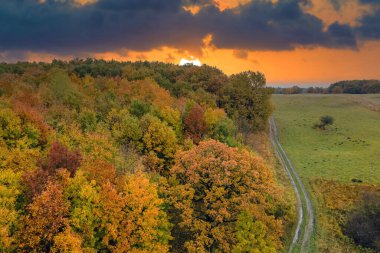 Bereketli bir akşam ormanı ve sonbahar mevsiminde toprak yolda araba izi. Güneşli bir günde sonbahar ormanlarında renkli gölgeler. Sonbahar vahşi doğasının manzarası.