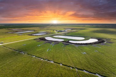 Yeşil çiftlik otlaklarında otlayan inekler için su deposu. Serbest çiftlikte içme göletleri. Çiftlik arazilerinde sığır beslemek.