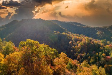 Sonbahar mevsiminde sarı orman ağaçlarıyla Kuzey Carolina 'daki Appalachian Dağları' na tırmandım. Sonbahar doğasının güzelliği.