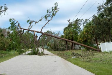 Florida 'nın banliyö bölgesinde kasırga sonrası elektrik hatları hasar görmüş. Doğal afetin sonucu olarak elektrik kesintisi.