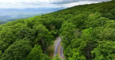 Kuzey Carolina Appalachian dağlarındaki orman yolu, ABD. Blue Ridge Parkway Amerikan otoyolu yaz yağmuru mevsiminde.