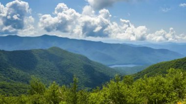 Kuzey Carolina 'daki Appalachian dağ tepelerinde yaz ormanı. Güzel doğanın yaz manzarası.