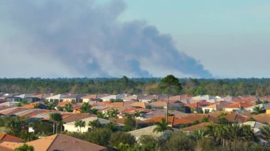 Florida 'nın banliyö bölgesinde çıkan ve havayı kirleten reçeteli orman yangınından çıkan zehirli duman..