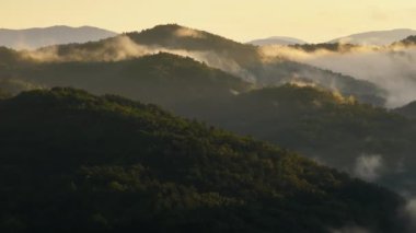 Tennessee Appalachian dağlarının doğa manzarası. Yaz mevsiminde yeşil gölgelikli dağ ormanları.