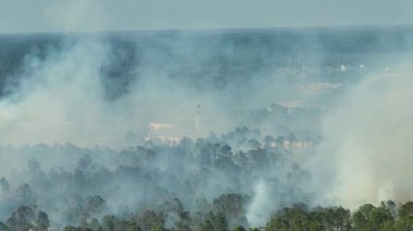 Florida orman ormanlarında yangın söndüren itfaiye helikopteri. Acil servis helikopteri ormanda alevleri söndürmeye çalışıyor. Kalın duman yükseliyor..