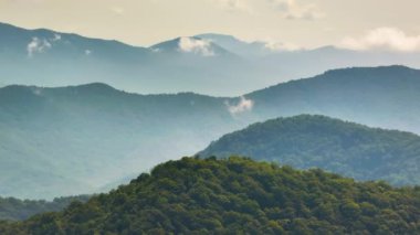 Kuzey Carolina Appalachian dağlarındaki nemli orman, ABD. Yaz yağmur mevsiminde Amerikan doğası.
