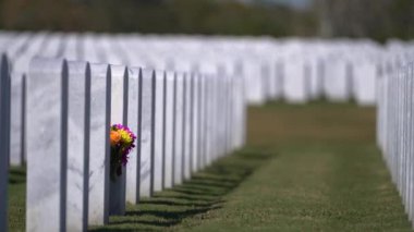 Yeşil çimlerin üzerinde beyaz mezar taşları olan Amerikan ulusal mezarlığı. Anma Günü konsepti