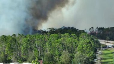 Florida ormanlarında yangın söndüren itfaiye araçları. İtfaiye araçları ormanda yangın çıkarmaya çalışıyor. Zehirli duman kirletici atmosfer.