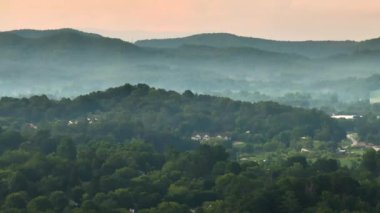 Kuzey Carolina Appalachian dağlarındaki nemli orman, ABD. Yaz yağmur mevsiminde Amerikan doğası.