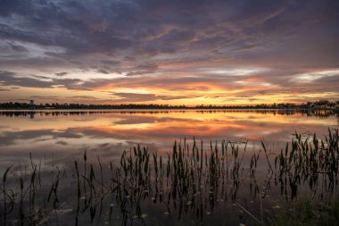 İnanılmaz Florida doğası. Güney tropik sulak alanlarda, göl suyunun üzerinde gün batımı.