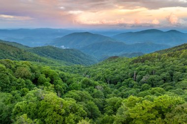 Günbatımında renkli ormanlarda yeşil tepe örtüleri olan Appalachian dağlarının yaz ormanları. Yaz mevsiminde vahşi doğa.