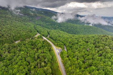 Yaz ormanlarında dolambaçlı dağ yolu. Beacon Heights otoparkı Kuzey Carolina 'daki Appalachian dağlarında yaz mevsiminde taze yeşil orman ağaçlarıyla çevrili. ABD doğasının güzelliği.