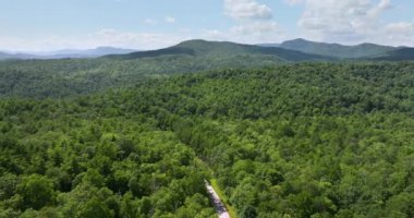 Tennessee Appalachian dağlarında araba sürerken. Yaz mevsiminde yeşil tepe örtüleri olan dağ ormanlarında dolambaçlı bir yol..
