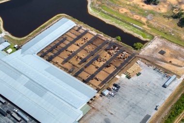 Sığır ağılında sığır eti. Florida kırsal kesimindeki çiftlik hayvanlarının beslenmesi..