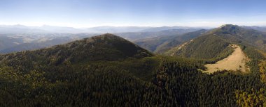 Aerial landscape view of high peaks with dark pine forest trees in wild mountains. clipart