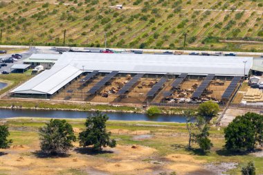 Etten ineklerle dolu avlunun havadan görünüşü. Çiftlikte sığır beslemek.