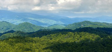 Yaz mevsiminde Great Smokey Dağları. Kuzey Carolina Appalachians, ABD 'deki dağlık tepeler.