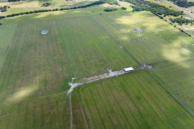 Yeşil çiftlik otlaklarında otlayan süt inekleri. Organik süt ürünleri üretimi. Çiftlik arazilerinde sığır beslemek.