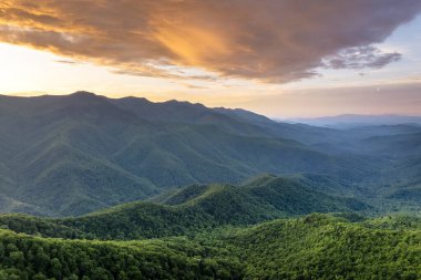 Kuzey Carolina 'daki Appalachian dağlarındaki Mitchell Dağı ve yaz ormanlarının sabah manzarası. Güzel doğanın yaz manzarası.