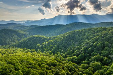 Gün doğumunda Appalachian dağlarında Mitchell Dağı 'nın doğa manzarası. Yaz mevsiminde yeşil tepe örtüleri olan dağ ormanları.