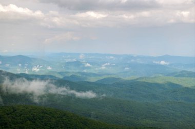 Yaz mevsiminde Kuzey Carolina Appalachian dağları. Güzel doğanın yaz manzarası.