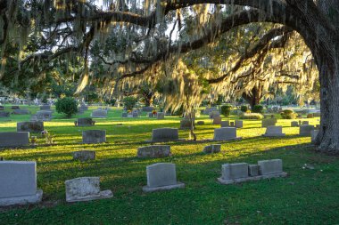 Orlando, Florida 'da yeşil çimlerin üzerinde meşe ağaçlarının altında mezar taşları olan eski bir mezarlık. Ölüm kavramı.