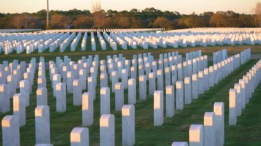 Amerikan ordusu Sarasota Ulusal Mezarlığı 'nda yeşil çimlerin üzerinde beyaz mezar taşları var. Anma Günü konsepti